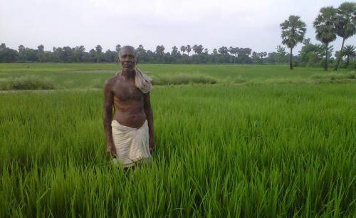 Farmers Support Programs